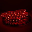 Waterproof IP65 RGB Colour Changing Strip Light - Low Voltage